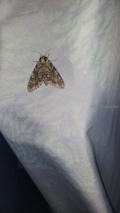 Had a great time camping this weekend i hadn t planned on doing