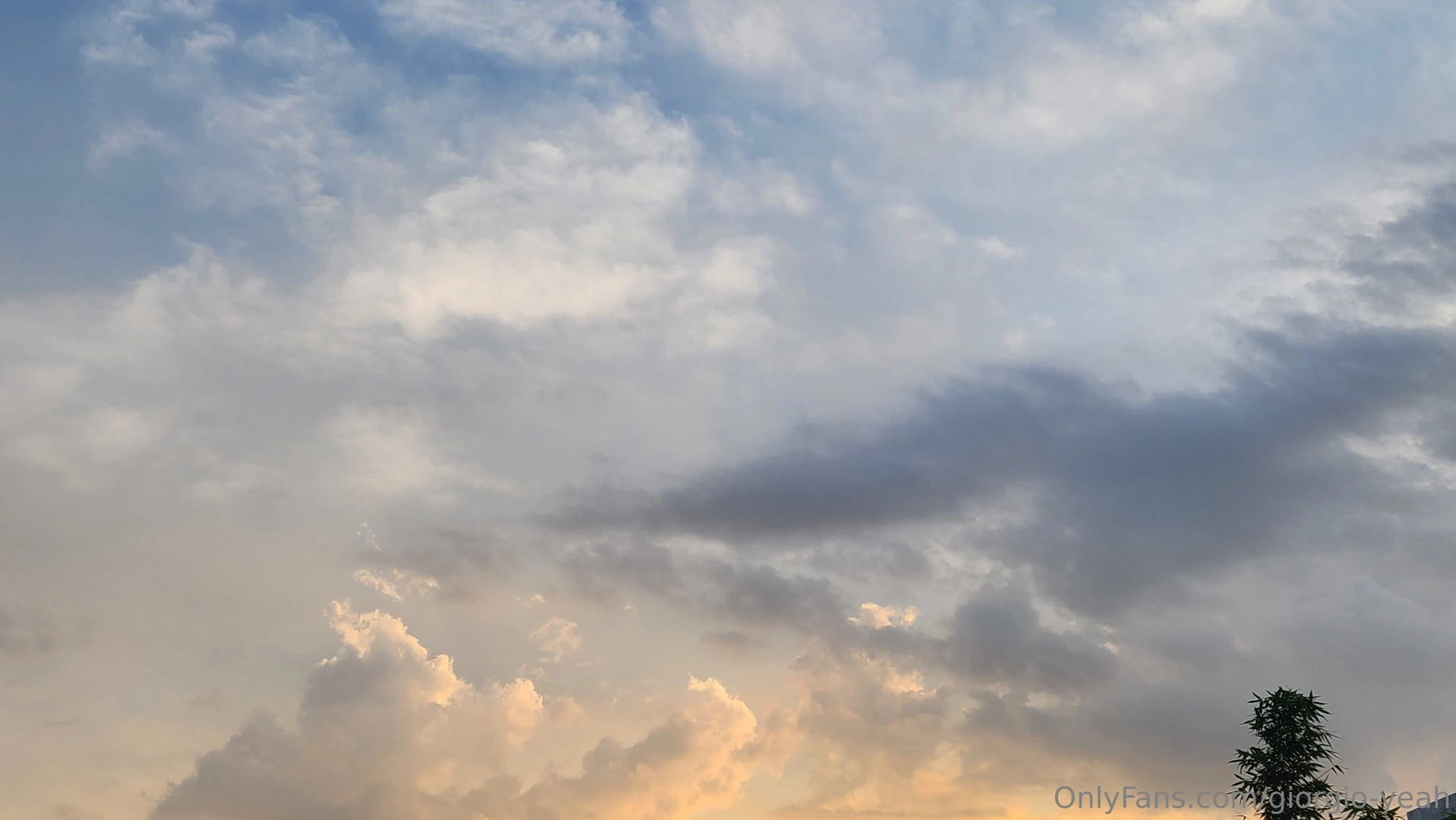 Morning colors part 1 