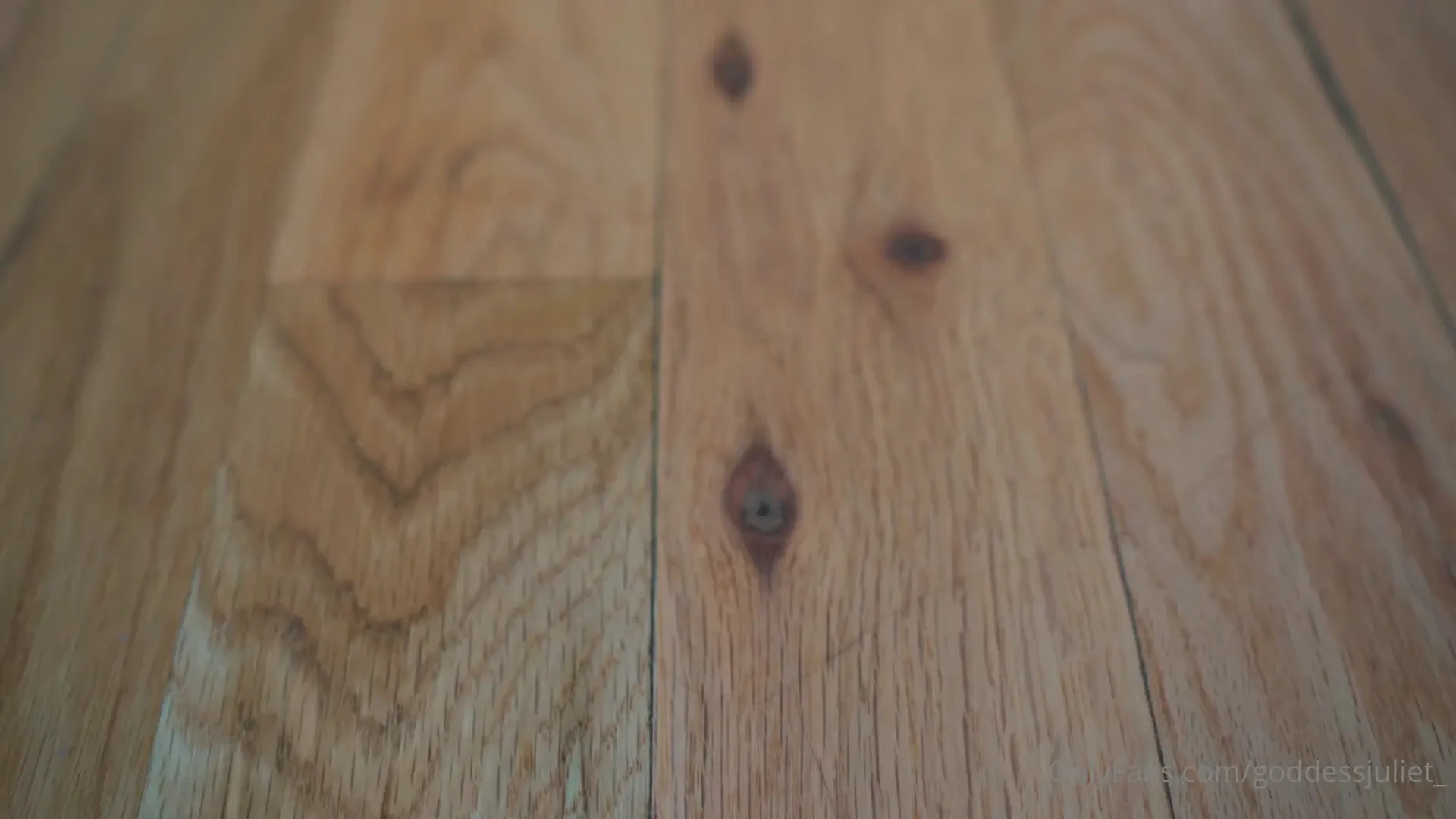 Foot bitch got caught sniffing my loubs 