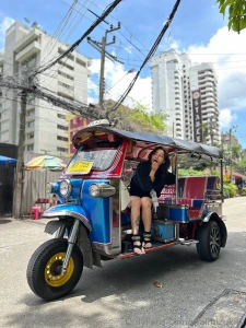 What is a tuk-tuk a tuk-tuk is a small three-wheeled motorized vehicle part 1