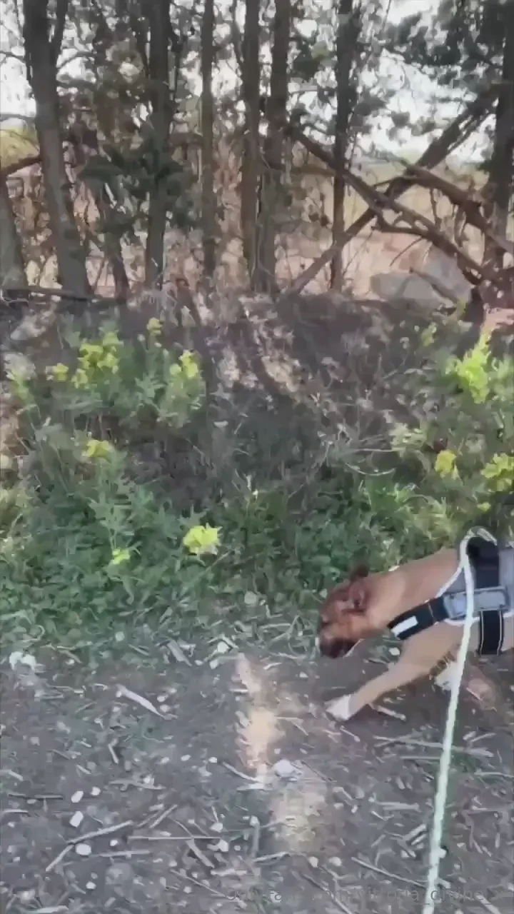 Bon dimanche les amours happy sunday the loves 