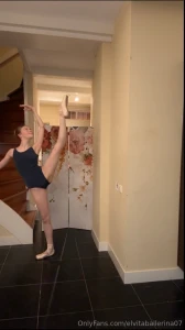 Ballet photobomb part 2