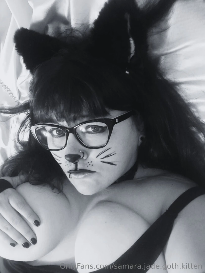 Pretty kitty photodump part 16 