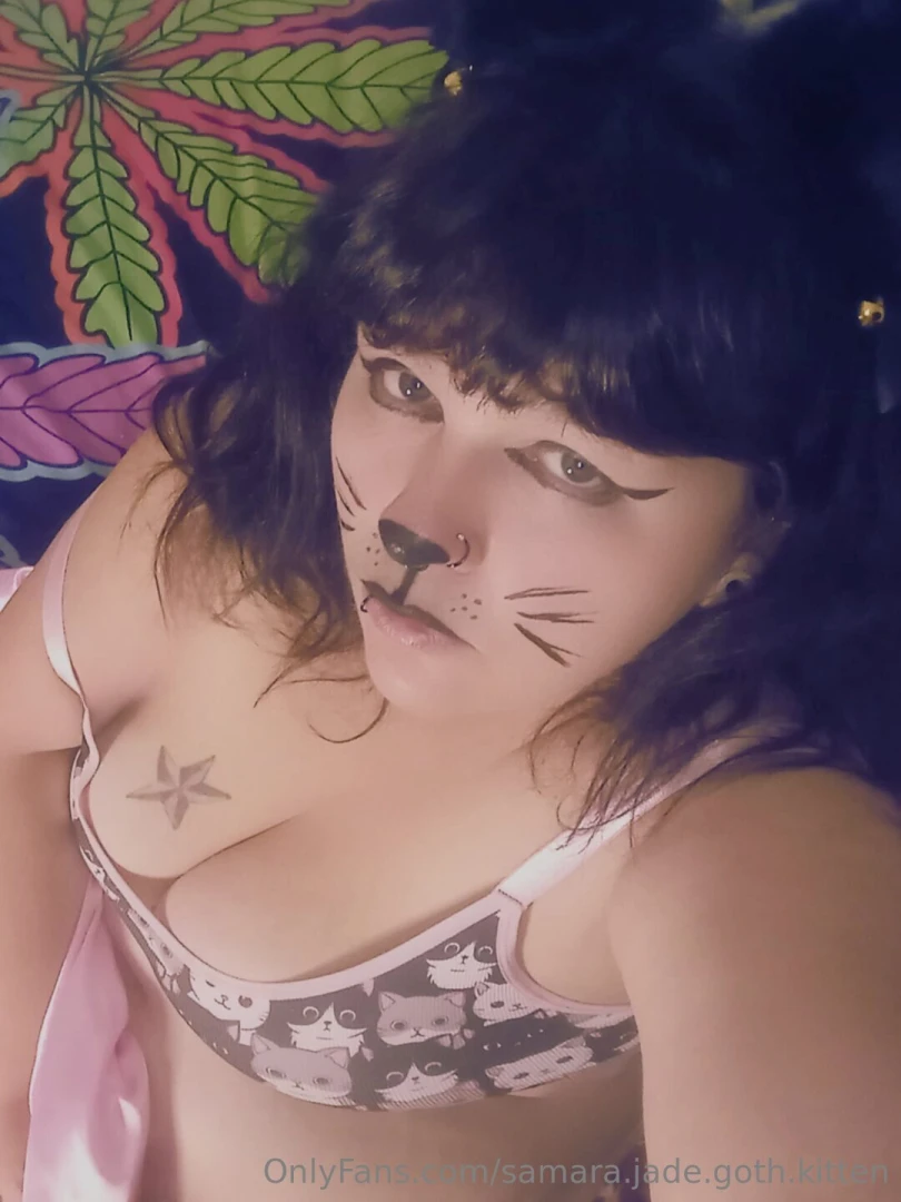 Pretty kitty photodump part 4 