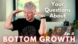 Hey my new youtube video about bottom growth is live now please go