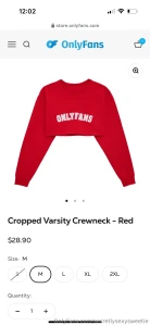 Can someone tell me if the new amazon wishlist link works there was an