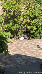 I took the cat out for a walk and i m standing in the gazebo and