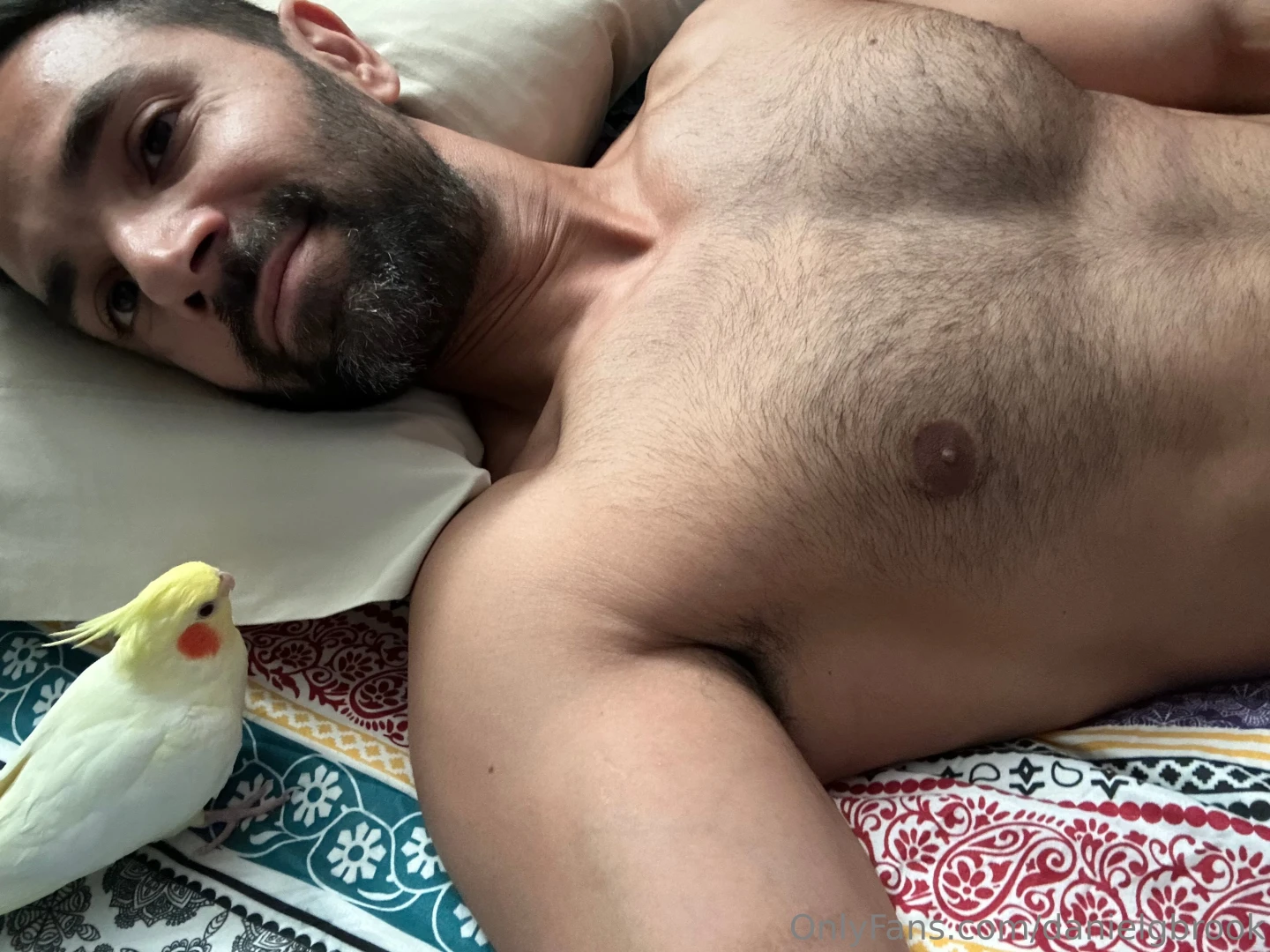 Who remembers the names of my birds part 1 