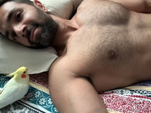 Who remembers the names of my birds part 1
