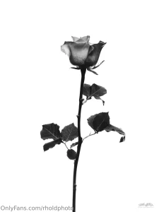 Some still life scenes are interesting to produce the inspiration