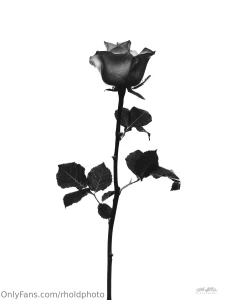 Some still life scenes are interesting to produce the inspiration part 1