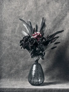 Still working on the video clips from my shoot with riann nova last