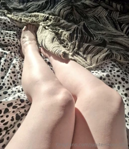 Morning sunshine part 194