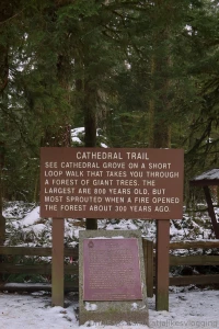 Spent the weekend away and this is what it looked like and there s a part 9