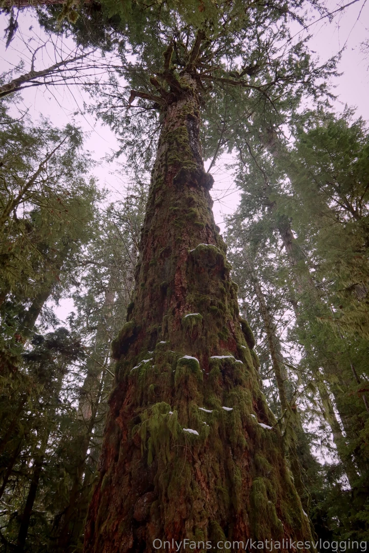 Spent the weekend away and this is what it looked like and there s a part 13 