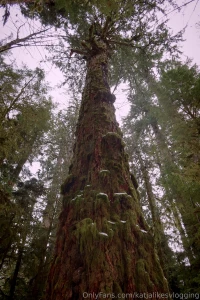 Spent the weekend away and this is what it looked like and there s a part 13