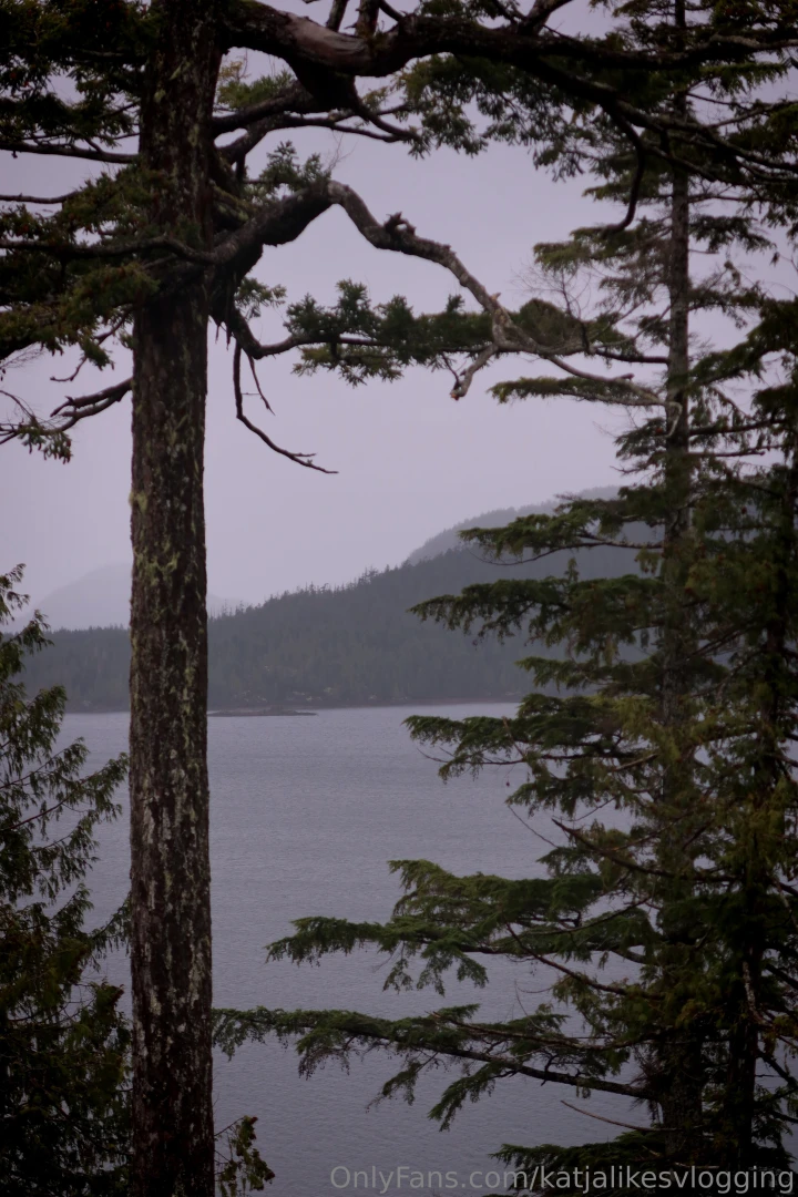 Spent the weekend away and this is what it looked like and there s a part 5 