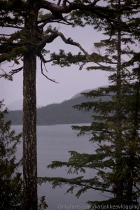 Spent the weekend away and this is what it looked like and there s a part 5