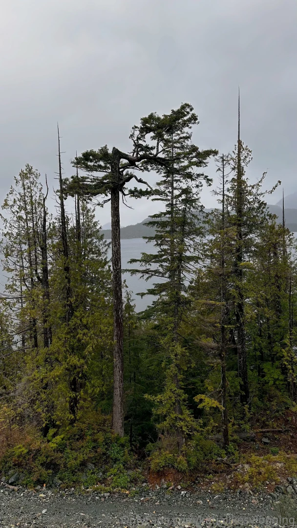 Spent the weekend away and this is what it looked like and there s a part 6 