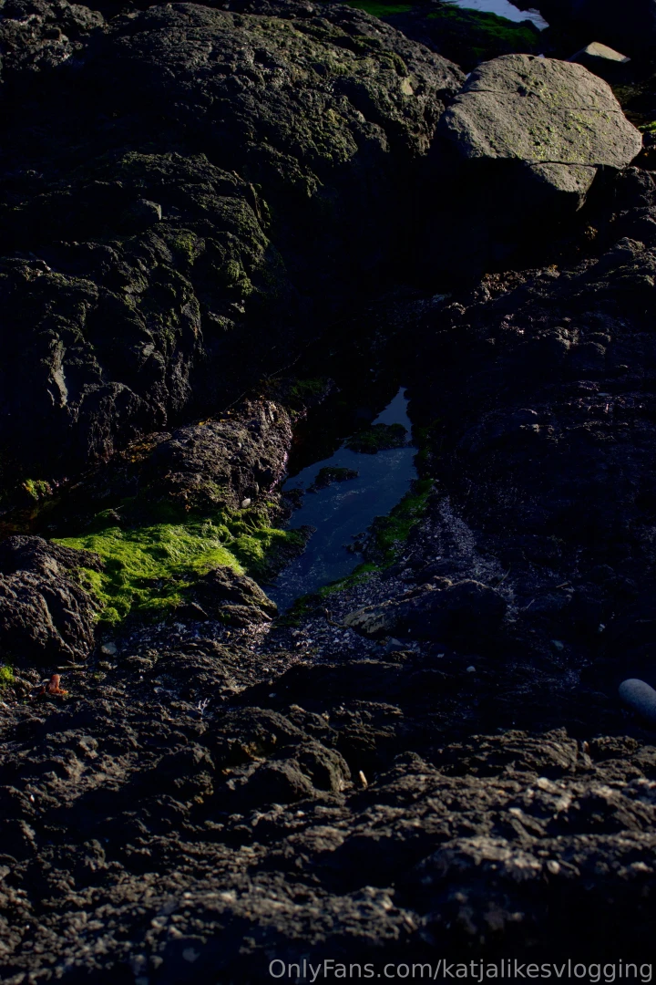 Spent the weekend away and this is what it looked like and there s a part 7 