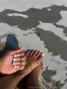 Frenchie all summer gt