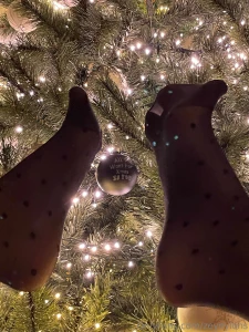 Some nylonfeet under the tree