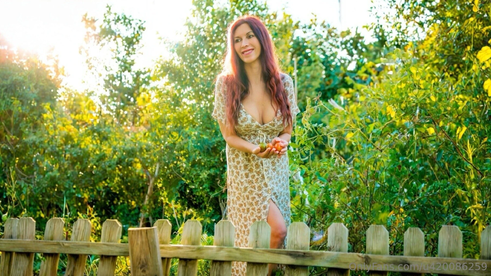 I pomodorini del mio orto maturi come certi desideri d estate the 