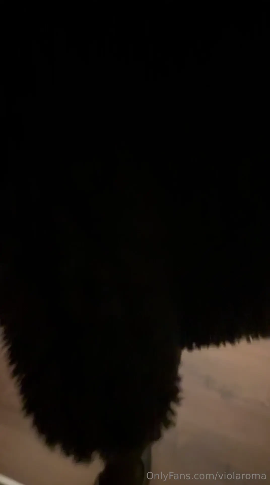 Lo so che vi sto trascurando il video intero oltre sei minuti in cui 