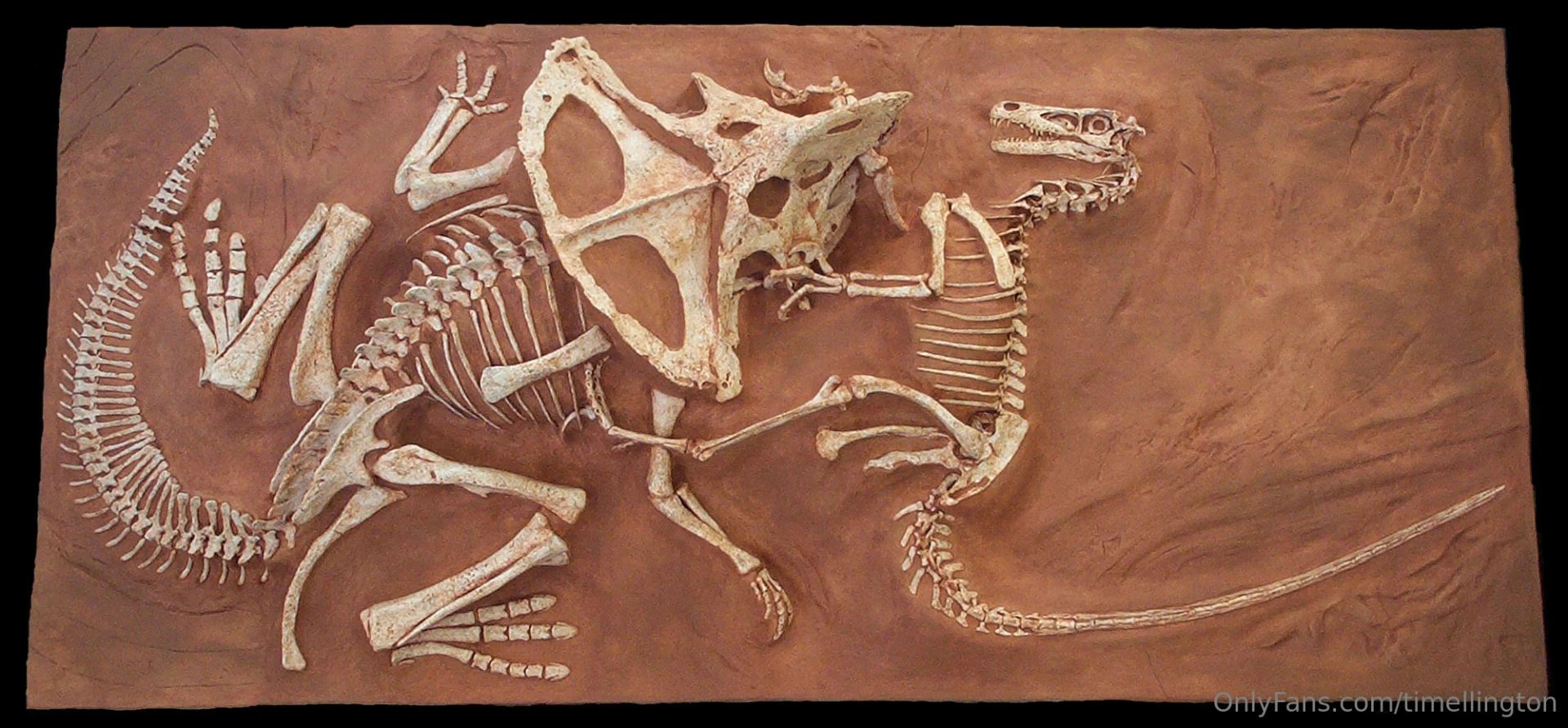 Hollywood is not worthy to shine john merrick s or otto bingo s boots 