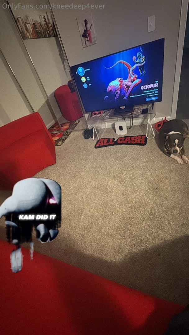 Content room complete 