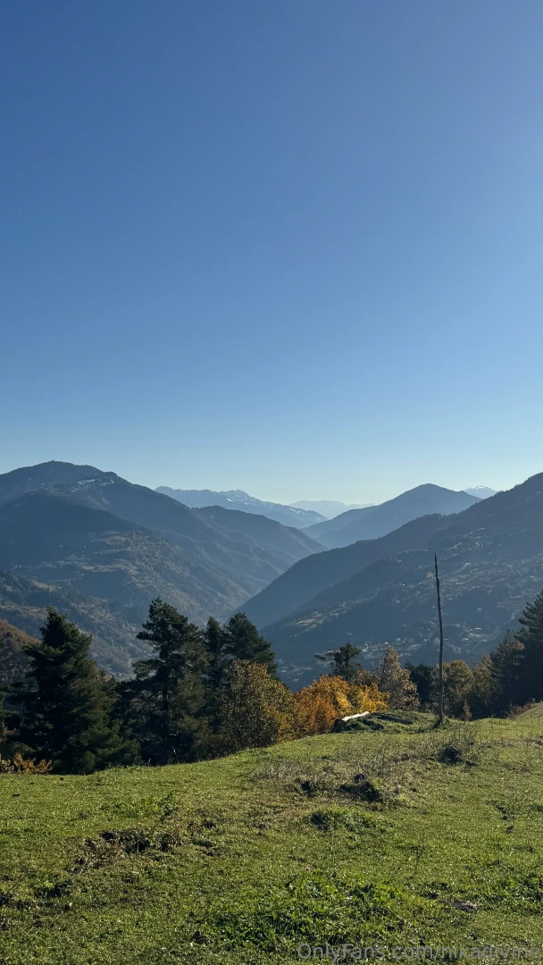 No humans just the gifts of the wild 