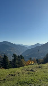 No humans just the gifts of the wild