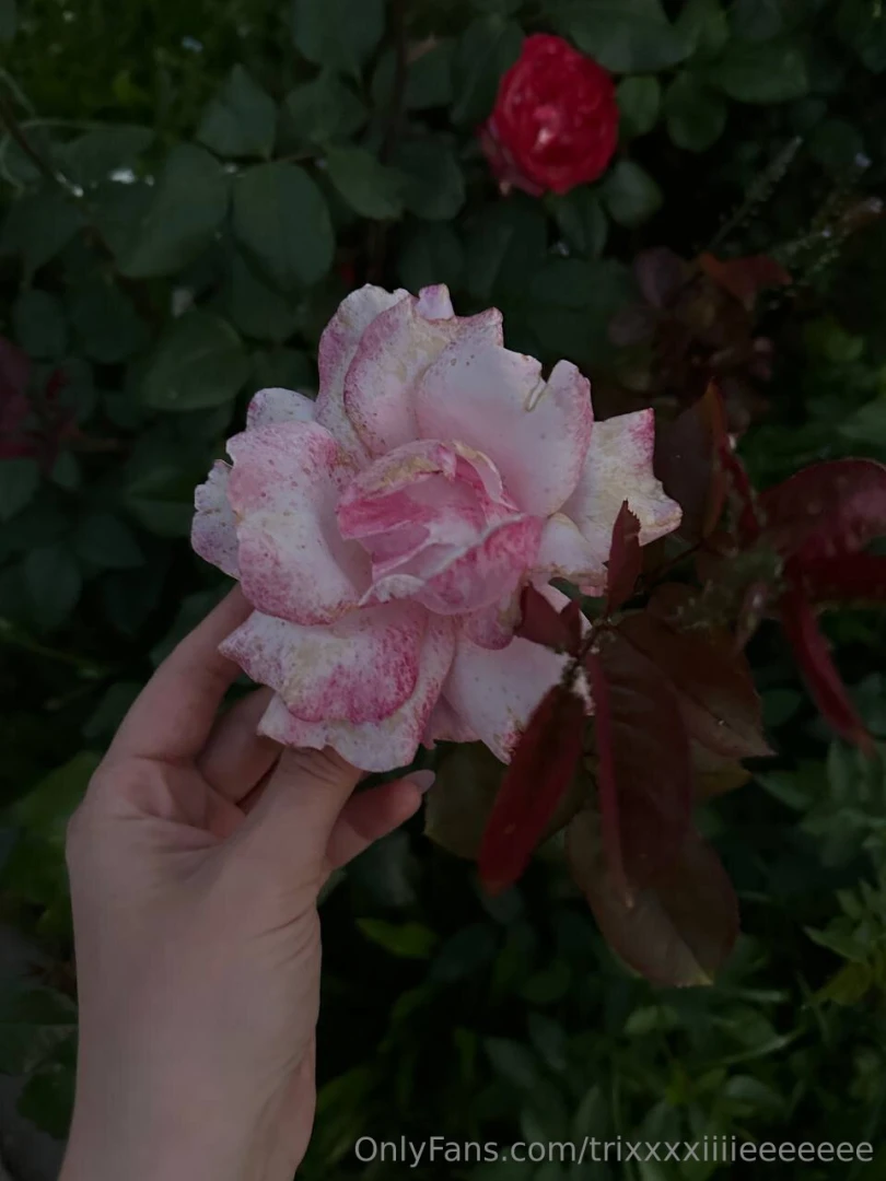 The most important thing is to enjoy your life being happy is what 