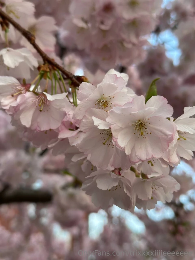 I love spring part 8 