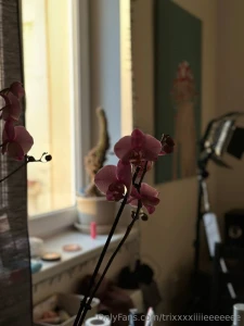 I attract people and events into my life that inspire me