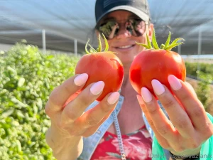 Tomato season is here working on having my own huge garden in the near