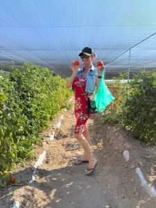 Tomato season is here working on having my own huge garden in the near part 1