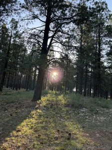 Utah beauty sunrise coffee firepit camping vanlife part 1