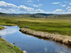 Enjoying nature part 32