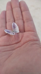 Take me back part 136