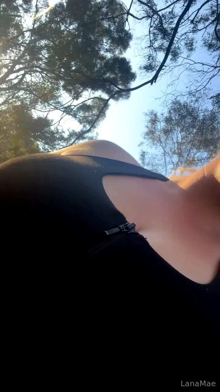 I had a fun day on a little bush walk to find a waterfall 