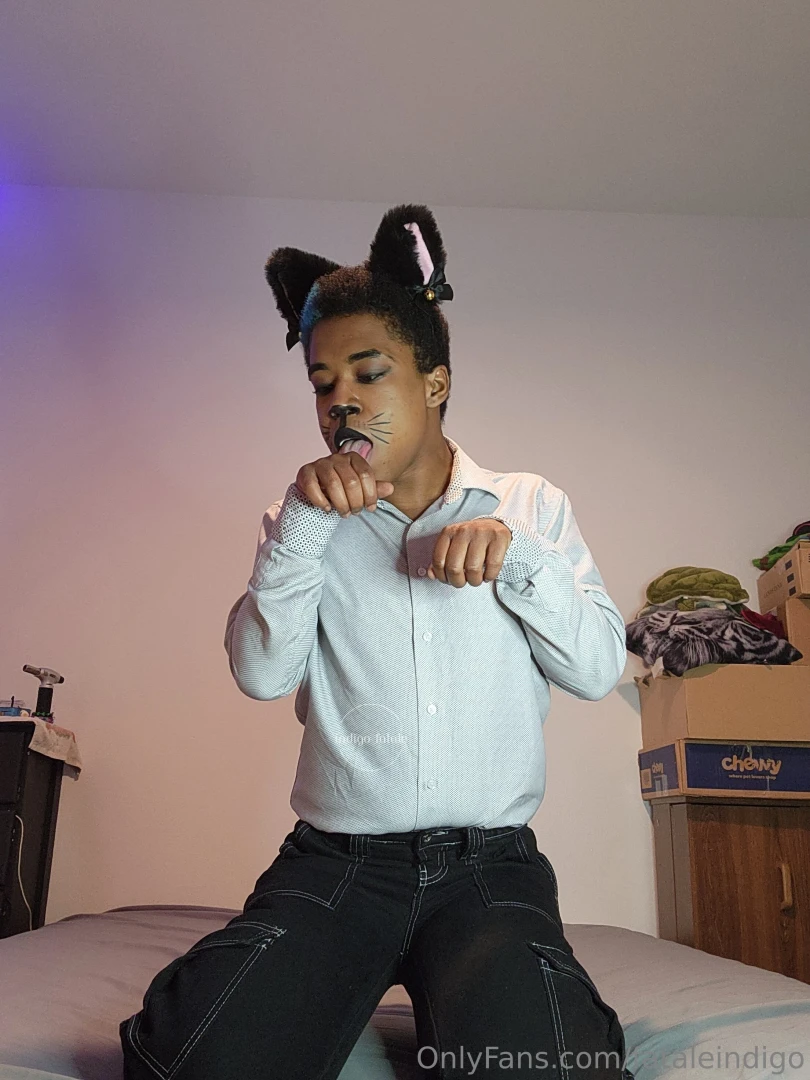 Meoww catboy throwback 