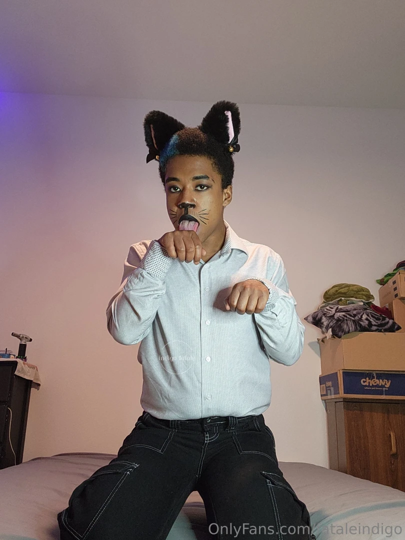 Meoww catboy throwback part 8 