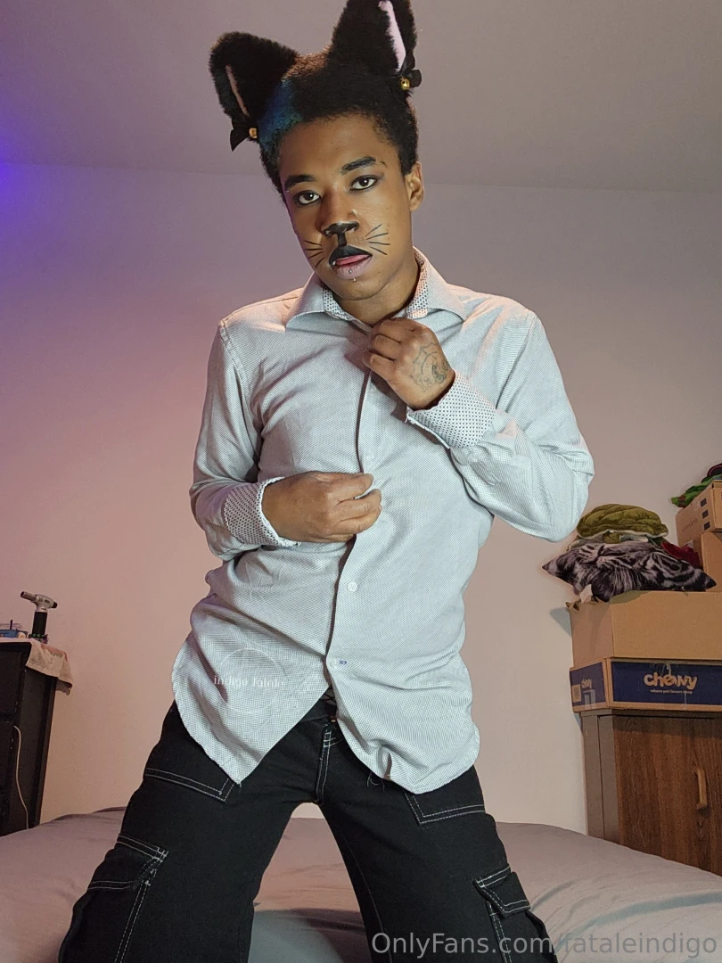 Meoww catboy throwback part 5 