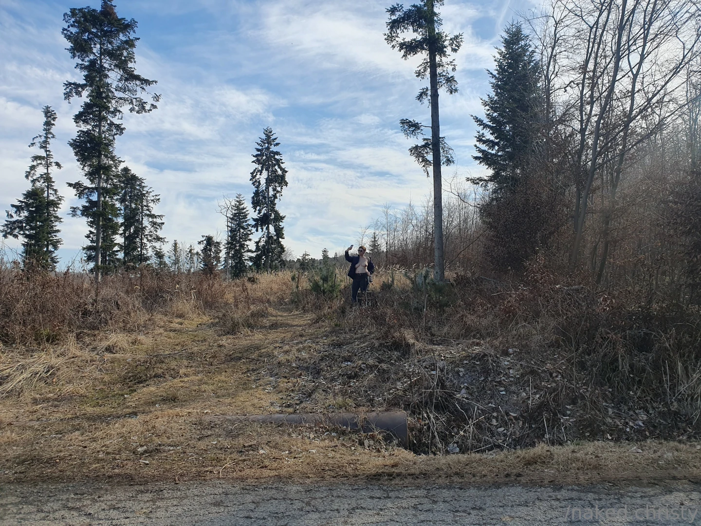 A walk in the forest 