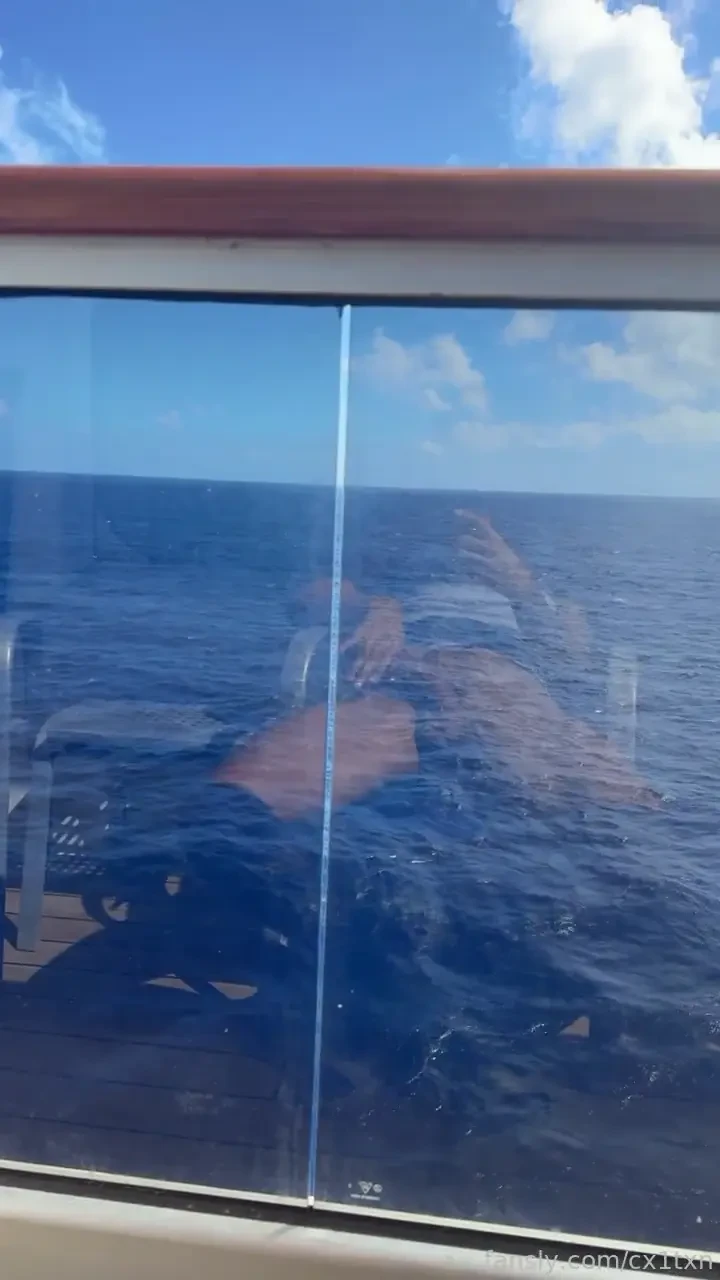 Just playing with my dick on the cruise balcony 