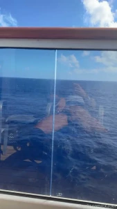 Just playing with my dick on the cruise balcony
