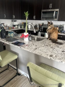 Quick update and poll results -weeknights preferred for cooking