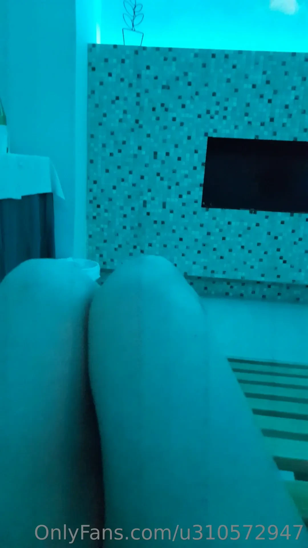 Buongiorno part 591 