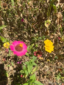 I miss warm summer days